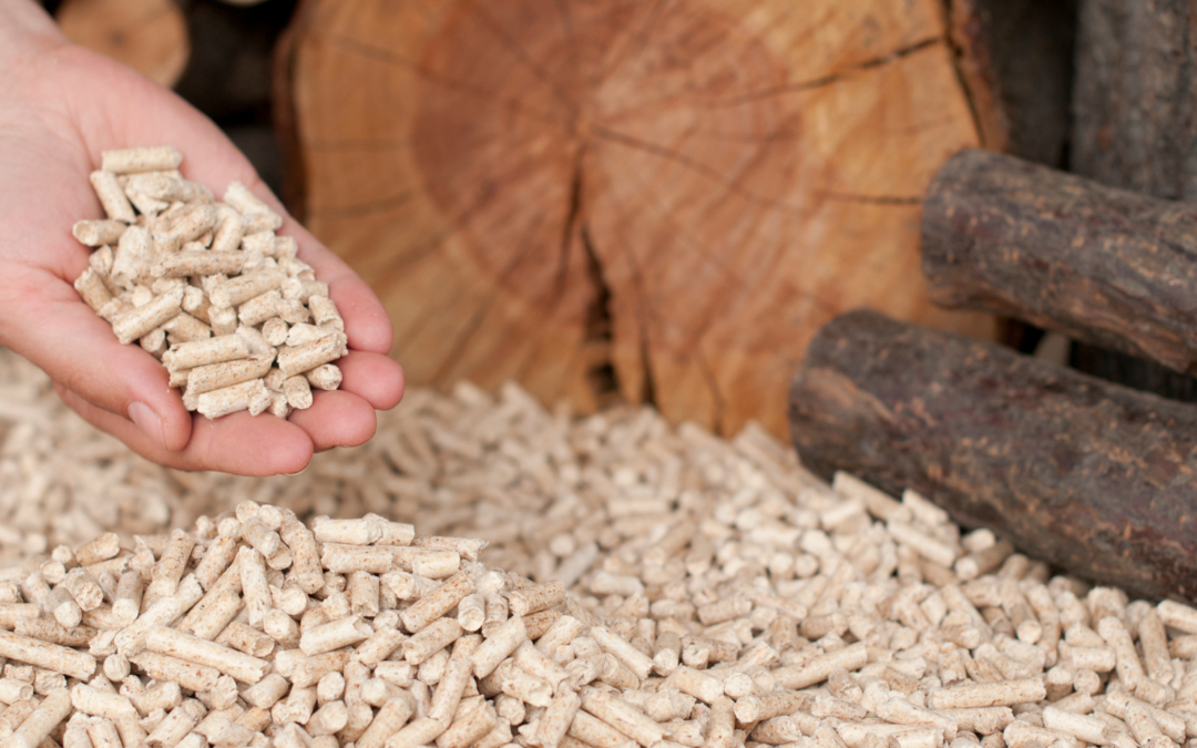 Pellets au Luxembourg : optimisez votre confort thermique avec une chaudière à granulés de bois